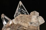 Water-Clear Selenite Crystal Cluster - Naica Mine, Mexico #325082-1